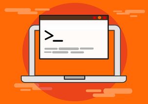 开云体育中国官方网站-青少年比赛引入技术监测系统保障公平，2020年青少年比赛